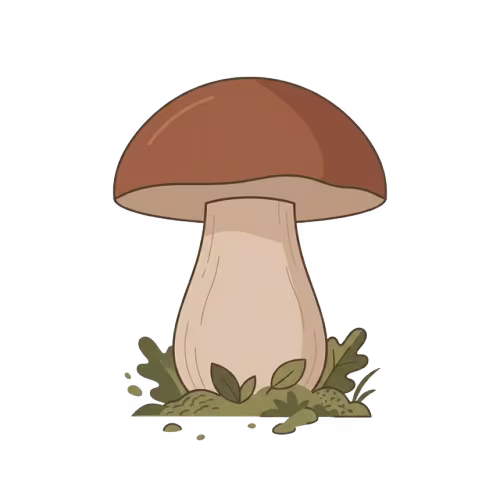 Steinpilze