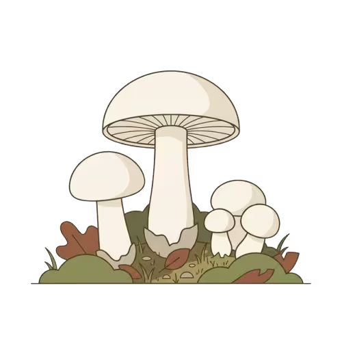 Maipilze
