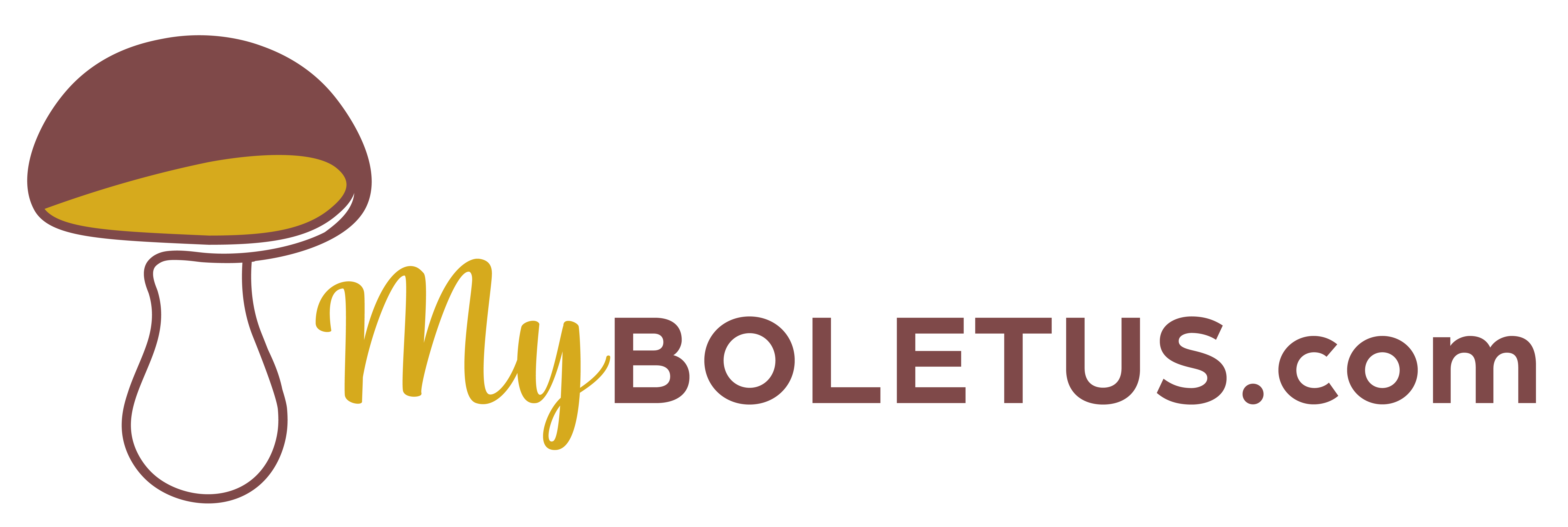 MyBoletus