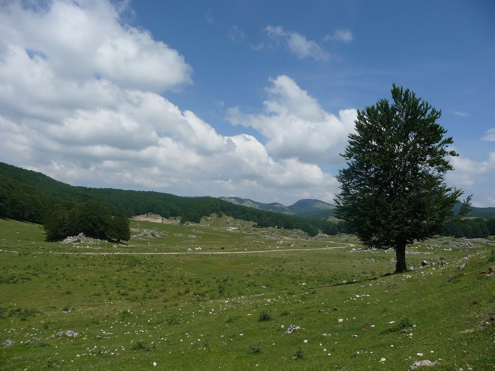 Paesaggio montano del Parco dei Monti Simbruini