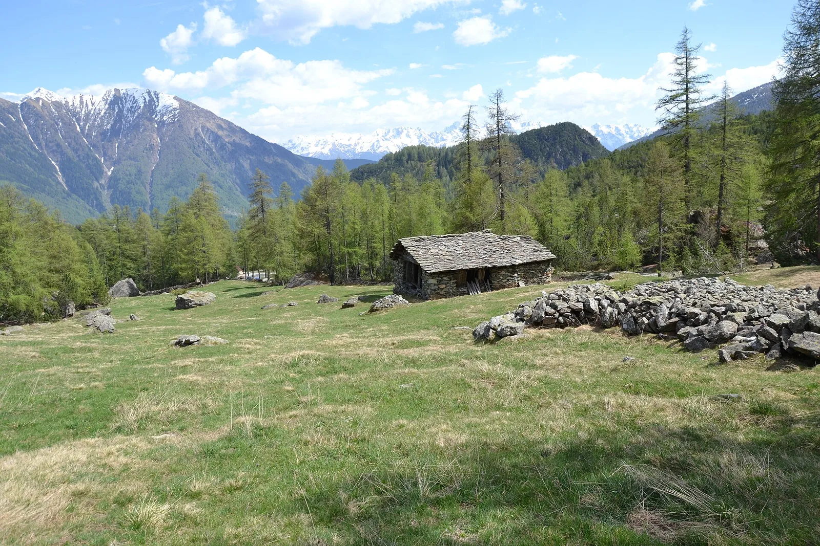 Alpe Giumellini con le Alpi Orobie sullo sfondo
