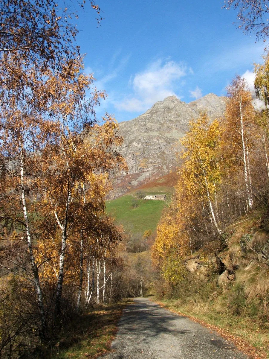 Colori autunnali sulle alture di Biella con le Alpi sullo sfondo
