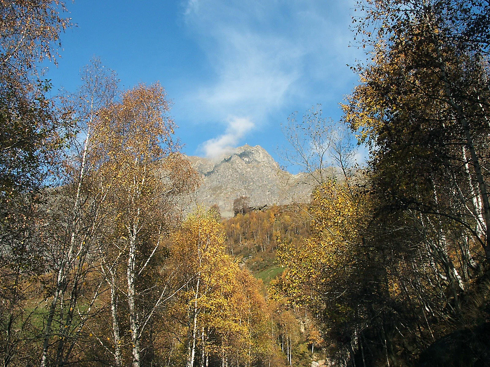 Paesaggio forestale del Trecciolino sulle alture di Biella