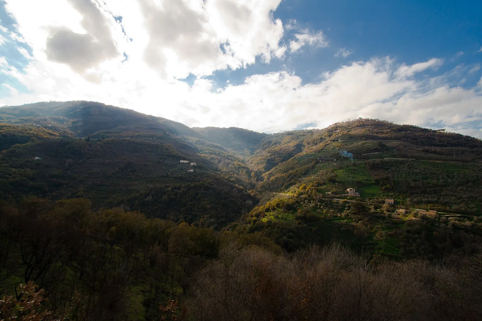 Boschi e rilievi del Parco dei Nebrodi in inverno