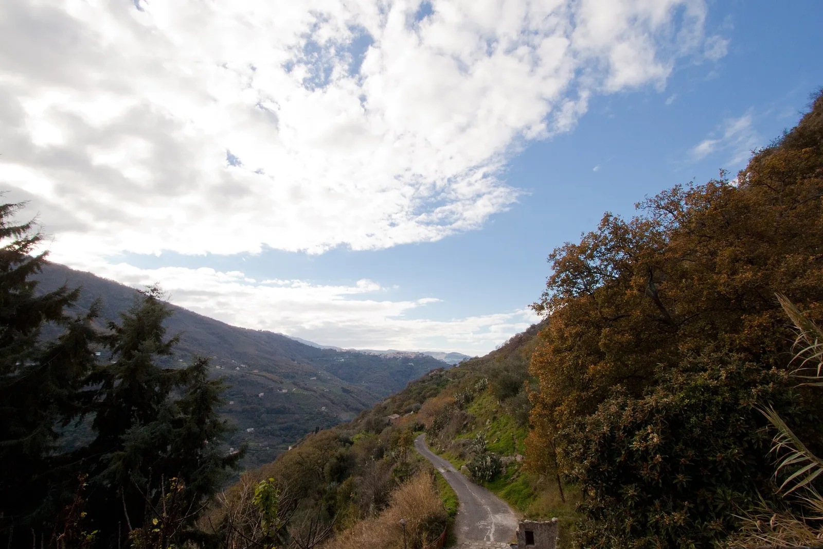 Rilievi e radure del Parco dei Nebrodi