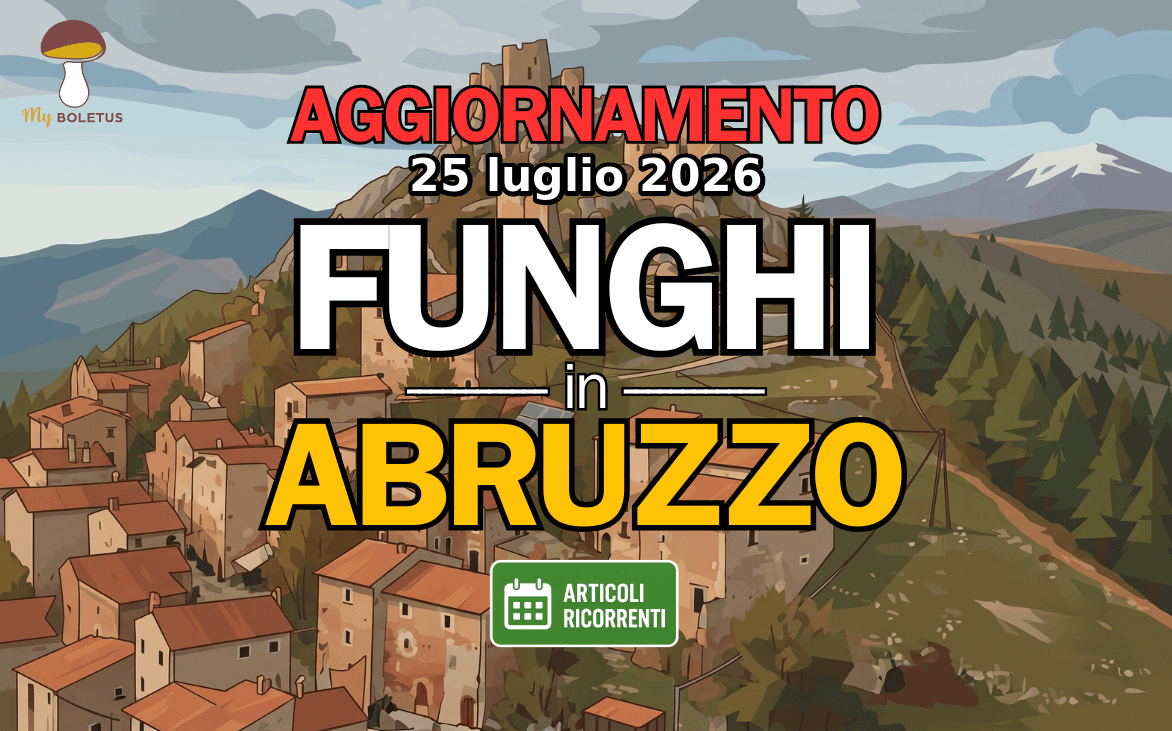 Funghi in Abruzzo