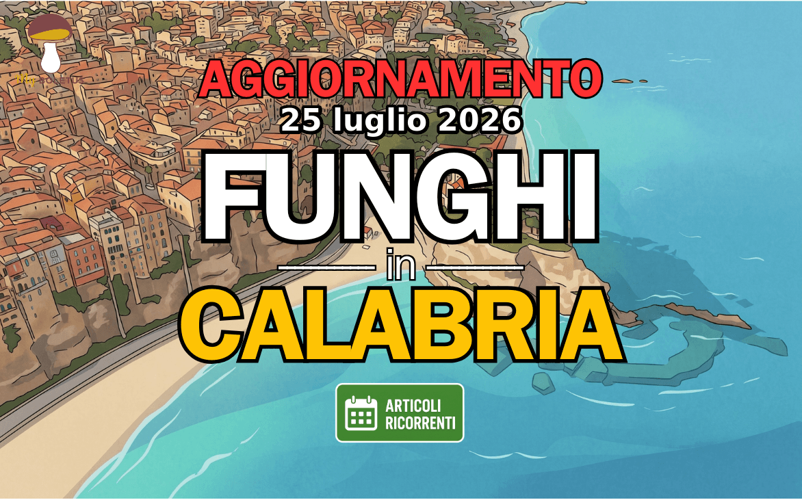 Funghi in Calabria