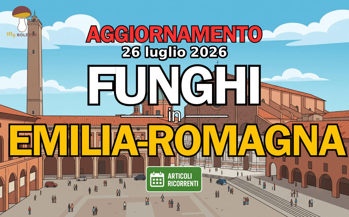 Funghi in Emilia-Romagna