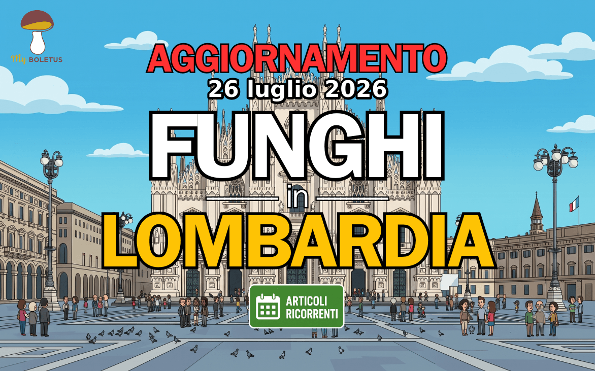 Funghi in Lombardia