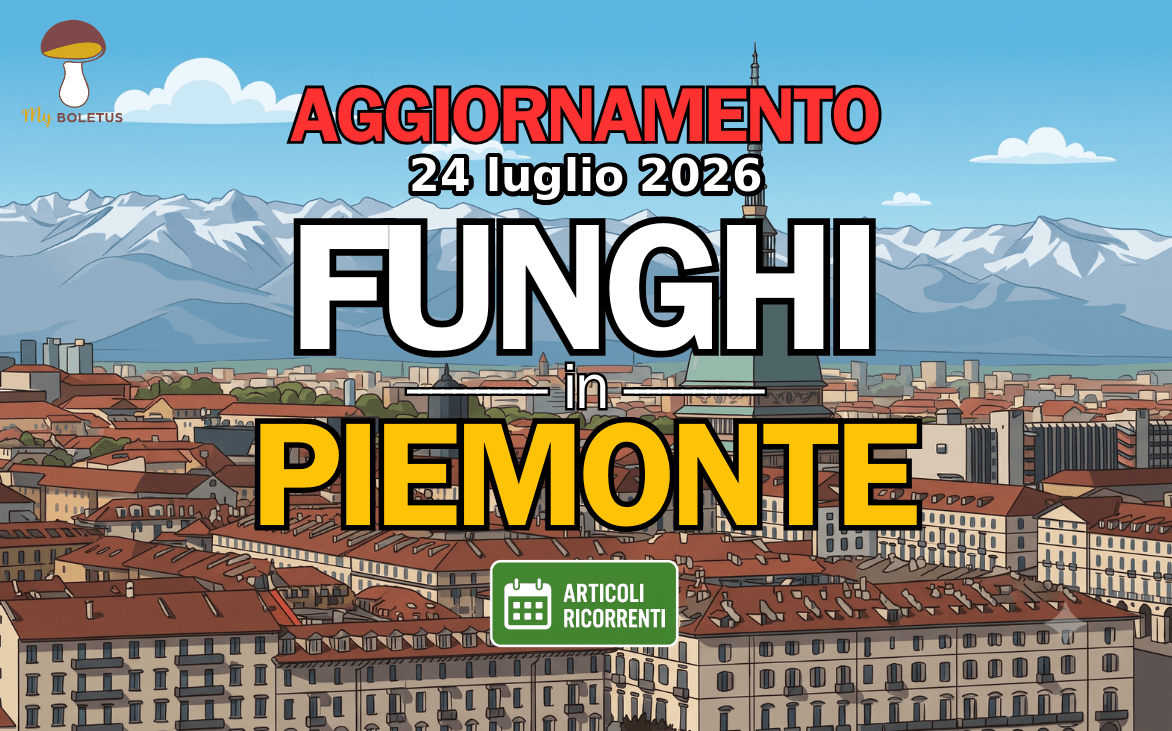 Funghi in Piemonte