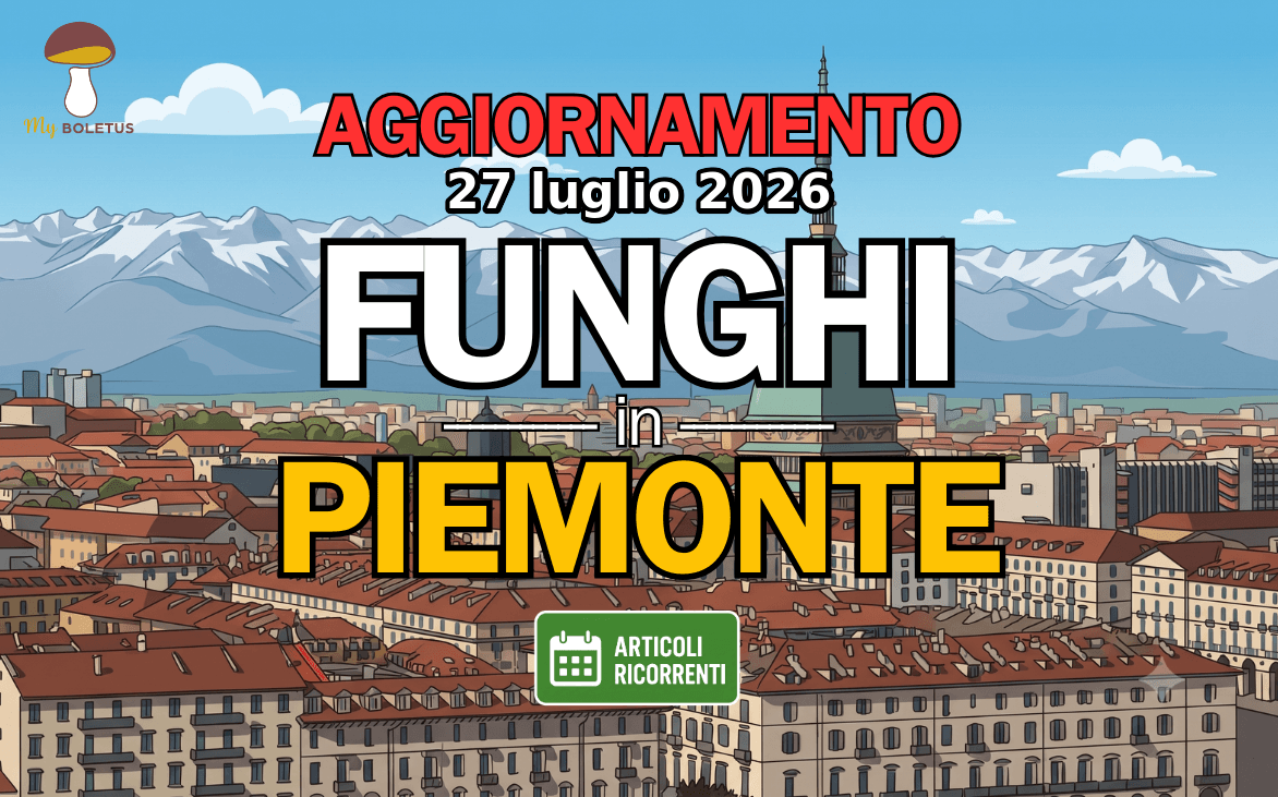 Funghi in Piemonte