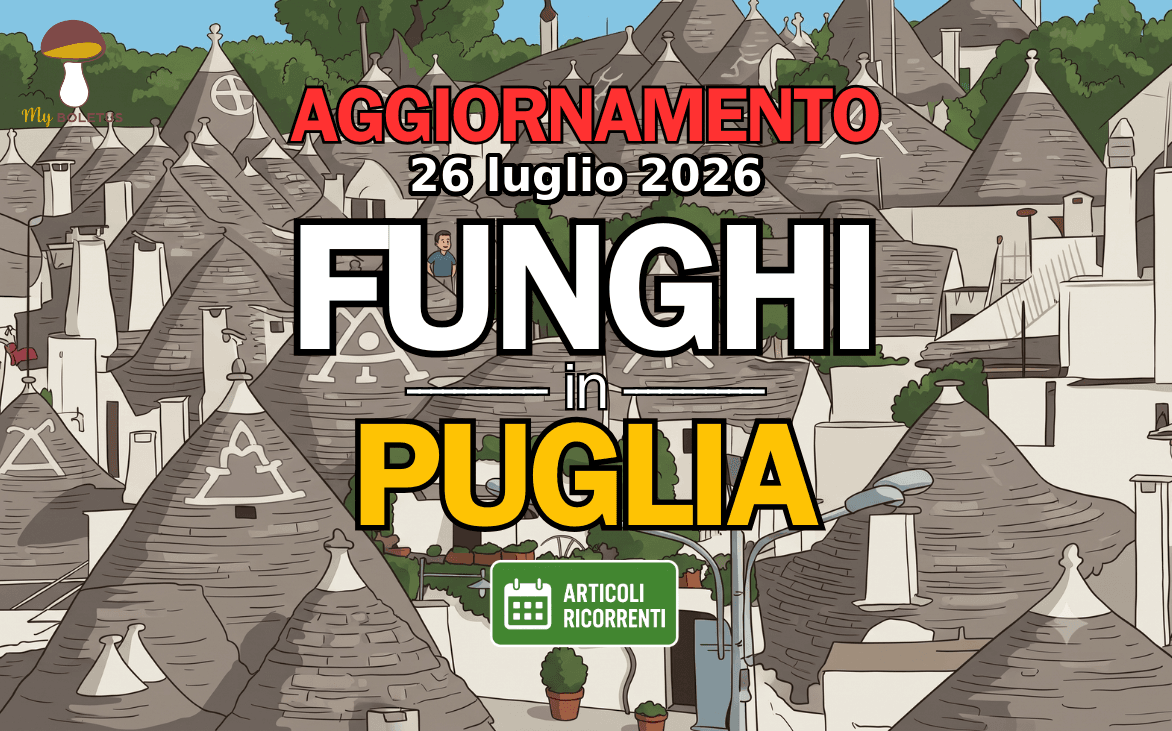 Funghi in Puglia