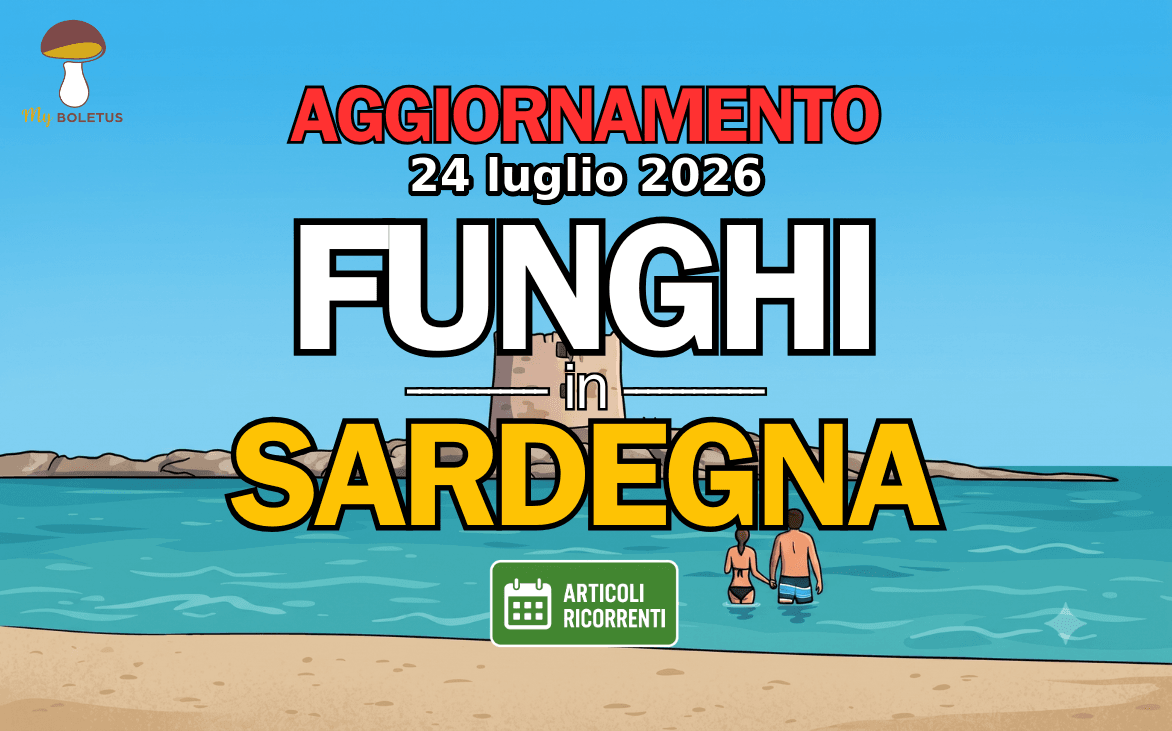 Funghi in Sardegna