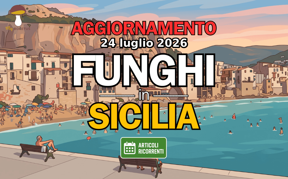 Funghi in Sicilia