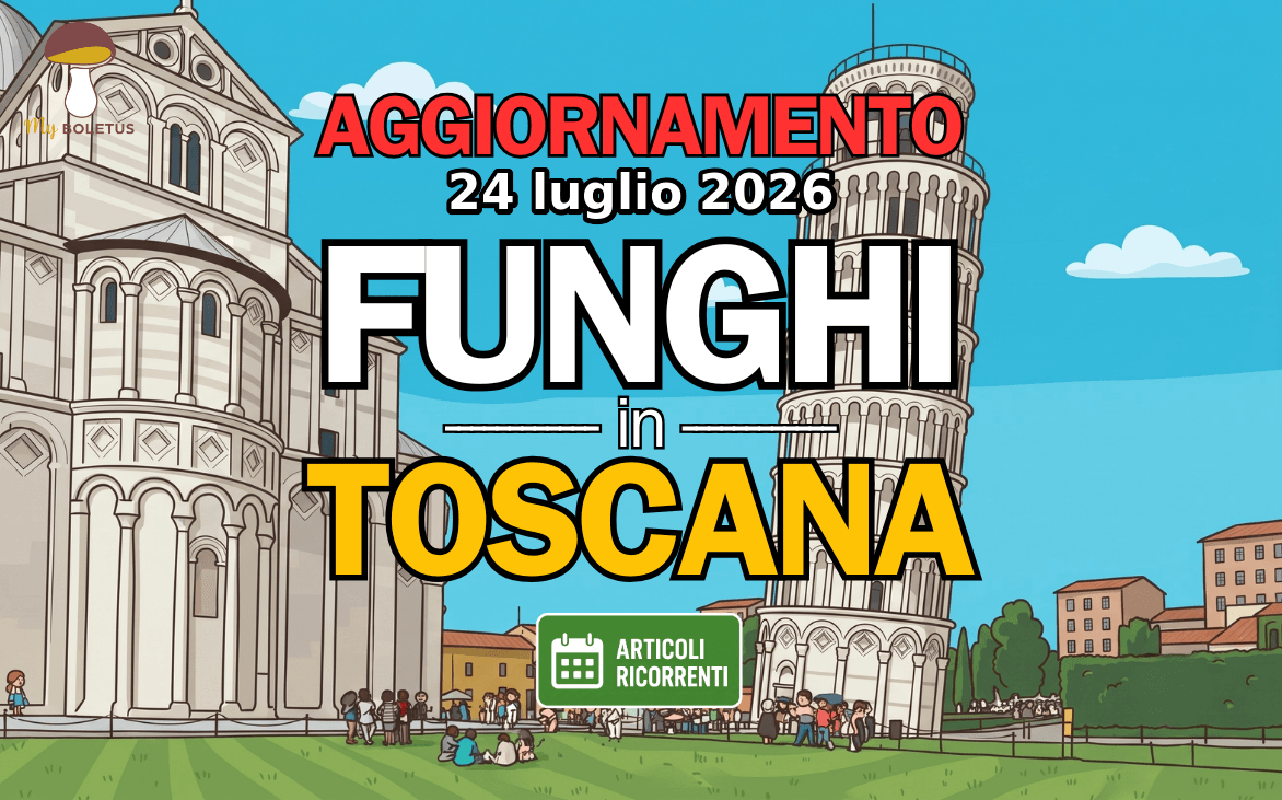 Funghi in Toscana