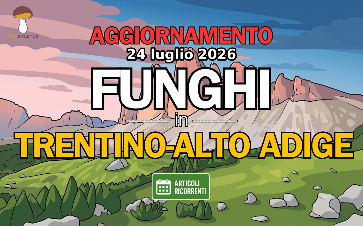 Funghi in Trentino