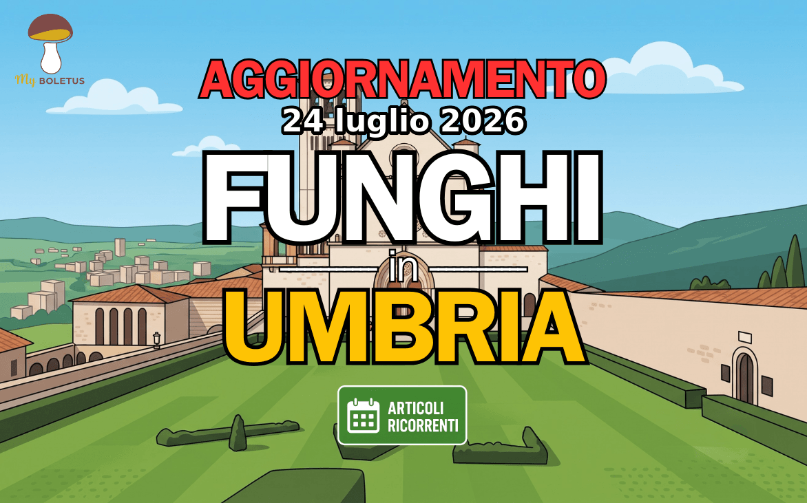 Funghi in Umbria