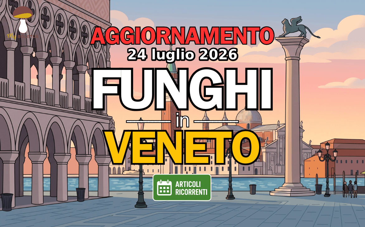 Funghi in Veneto